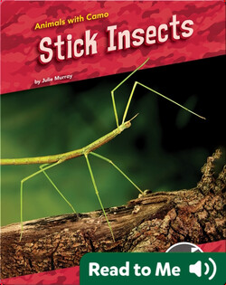 Animals With Camo: Stick Insects