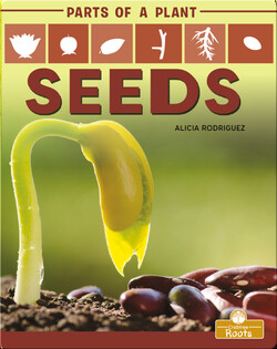 Parts of a Plant: Seeds