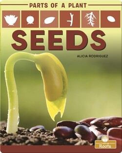 Parts of a Plant: Seeds