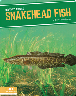 Invasive Species: Snakehead Fish