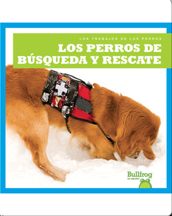 Los perros de búsqueda y rescate