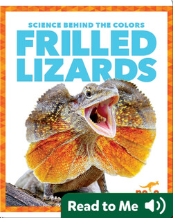 Science Behind the Colors: Frilled Lizards