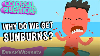 Colossal Questions: Why Do You Get Sunburns?