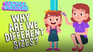Colossal Questions: Why Are We Different Sizes?