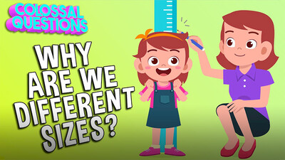 Colossal Questions: Why Are We Different Sizes?