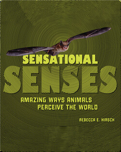 Sensational Senses: Amazing Ways Animals Perceive the World