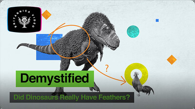 Demystified: Did Dinosaurs Really Have Feathers?