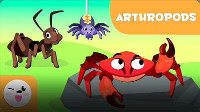 Smile and Learn Animals: Arthropods