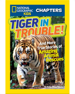 National Geographic Kids Chapters: Tiger in Trouble!