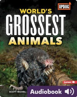 World's Grossest Animals