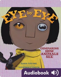 Eye by Eye: Comparing How Animals See