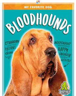 My Favorite Dog: Bloodhounds