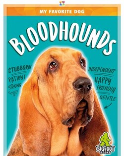 My Favorite Dog: Bloodhounds
