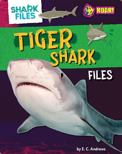 Tiger Shark