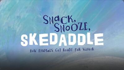 Snack, Snooze, Skedaddle