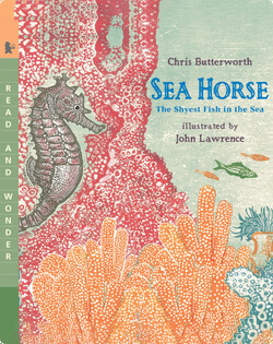 Sea Horse: The Shyest Fish in the Sea