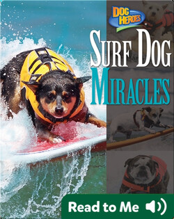 Surf Dog Miracles