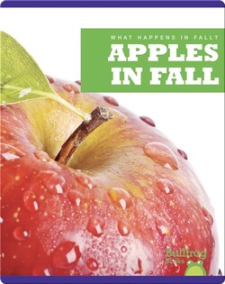 What Happens In Fall? Apples In Fall