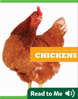 Chickens