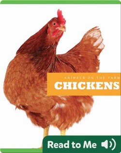 Chickens