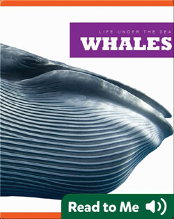 Whales