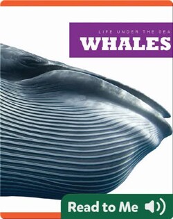 Whales
