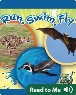 Run, Swim, Fly