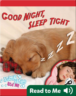 Good Night, Sleep Tight