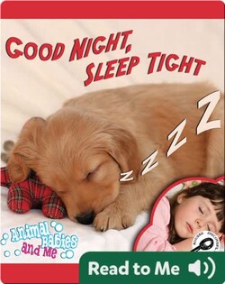 Good Night, Sleep Tight