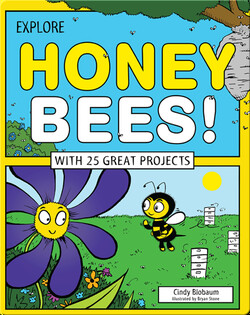 Explore Honey Bees!