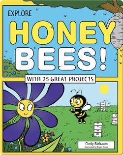 Explore Honey Bees!
