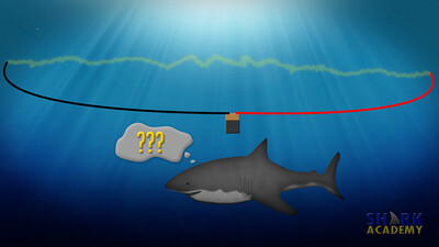 Shark Electrosensory System