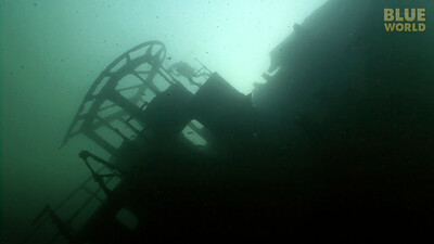 Jonathan Bird's Blue World: River of Wrecks