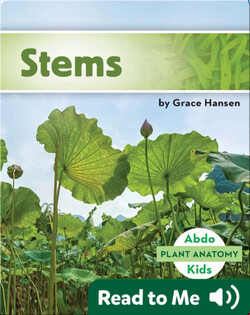 Stems