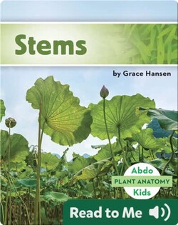 Stems