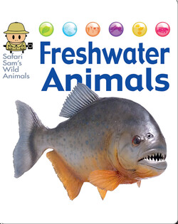 Freshwater Animals