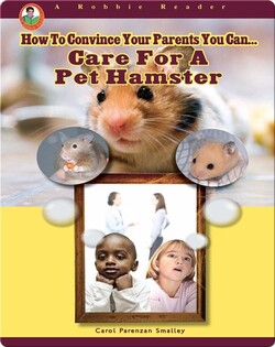 Care for a Pet Hamster