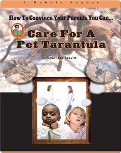 Care for a Pet Tarantula