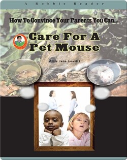 Care for a Pet Mouse