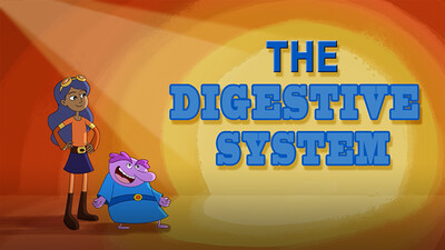 The Digestive System