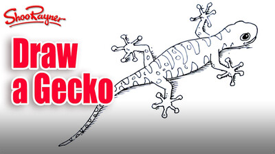 How to Draw a Gecko