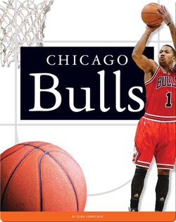 Chicago Bulls