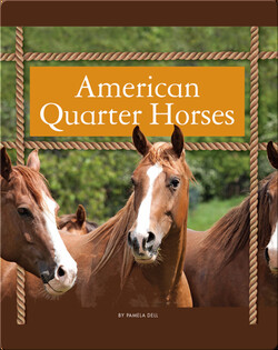American Quarter Horses