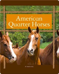American Quarter Horses