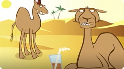 I'm a Camel