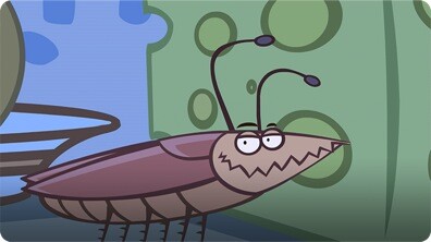 I'm a Cockroach