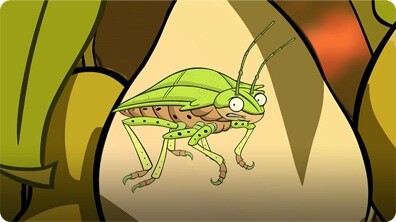 I'm a Stink Bug