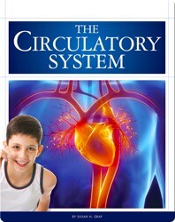 The Circulatory System