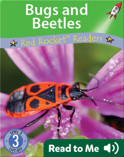 Bugs and Beetles