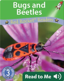 Bugs and Beetles